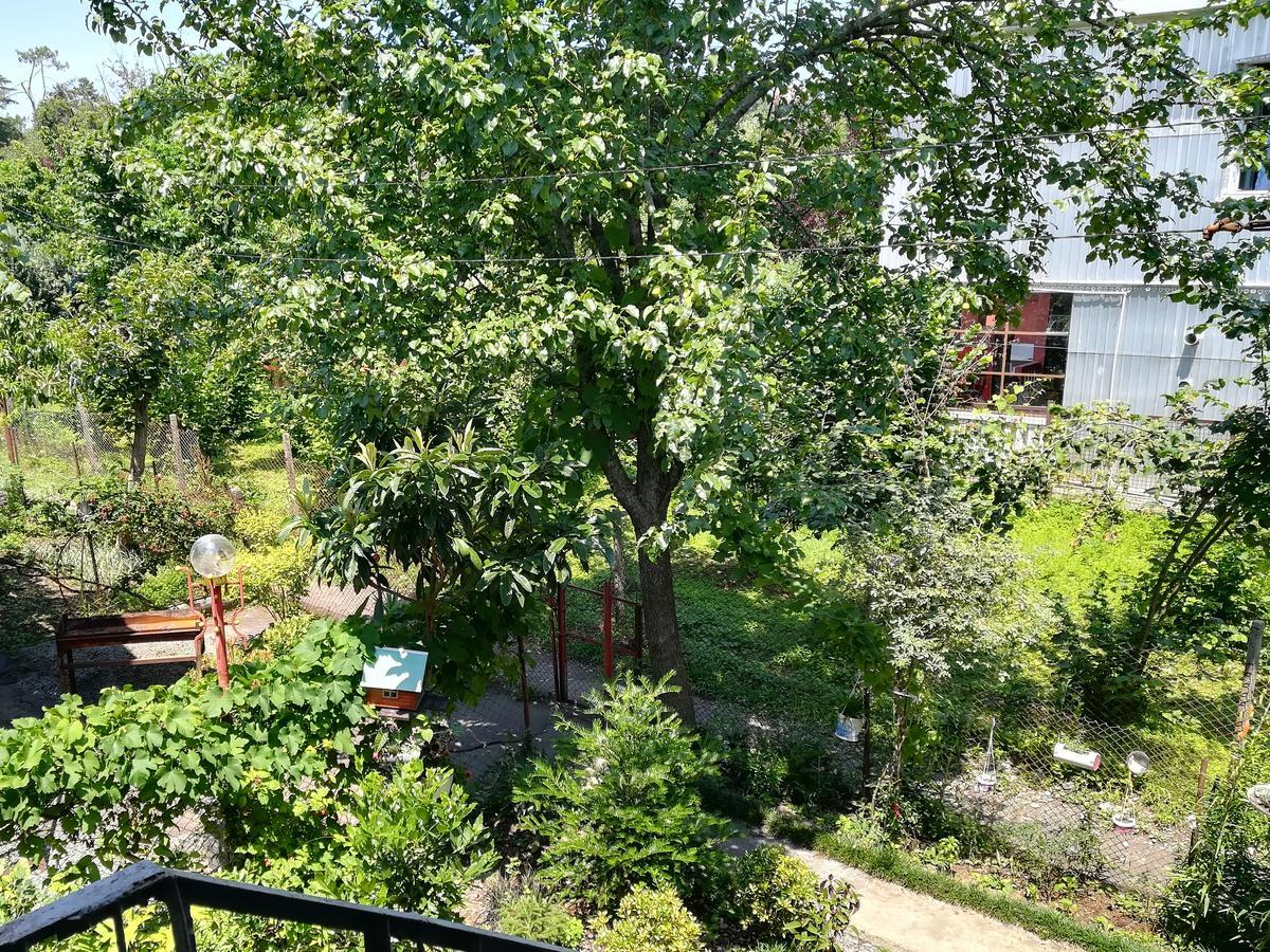 Guest House Of Givi Kobuleti Exterior photo